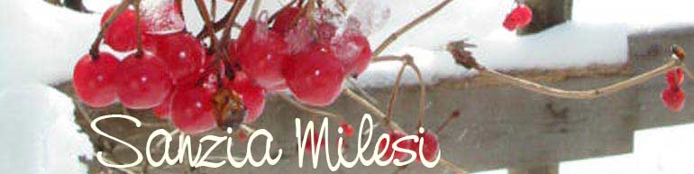 fotografie di Sanzia Milesi - clic su aggiorna per visualizzare una nuova immagine
