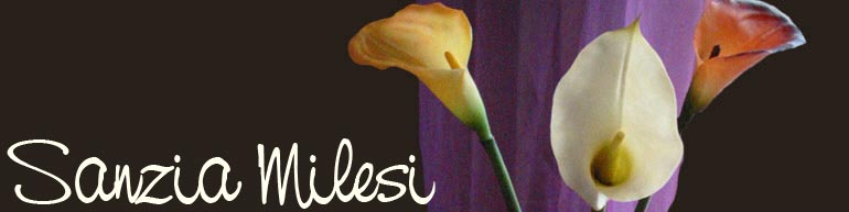 fotografie di Sanzia Milesi - clic su aggiorna per visualizzare una nuova immagine