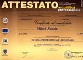 qualifica videoreporter